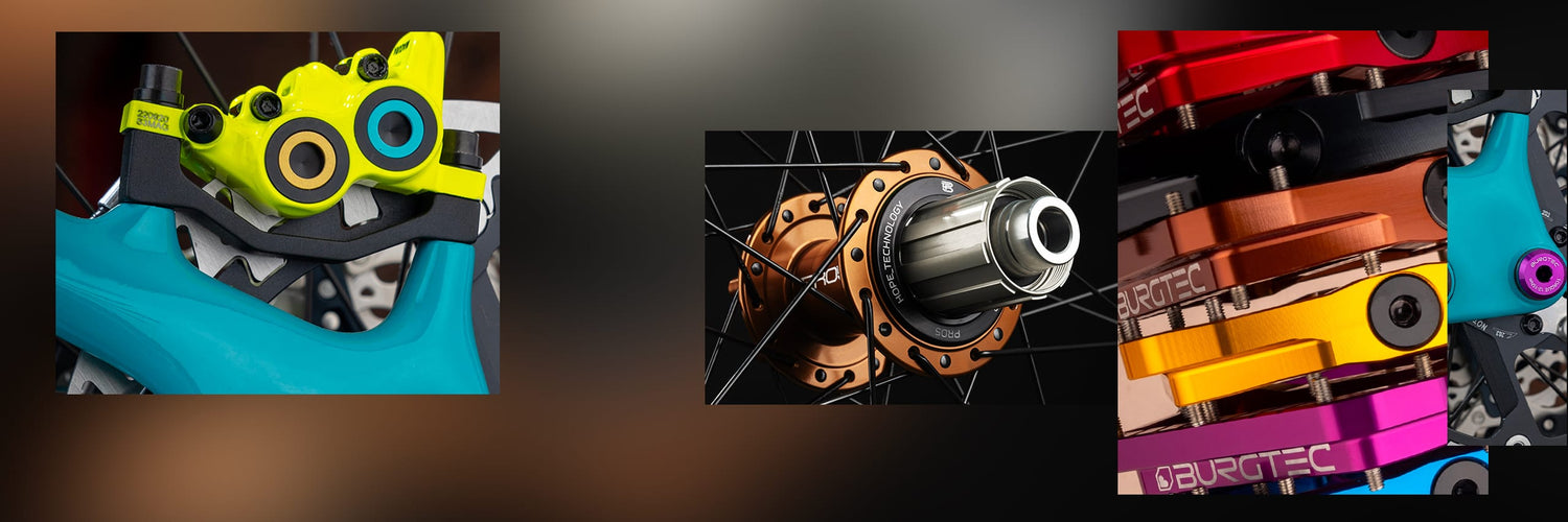 Mostre as suas cores