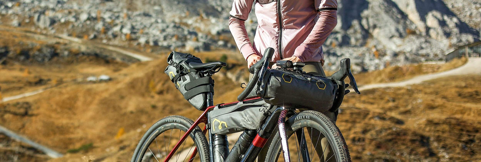 Marca | APIDURA