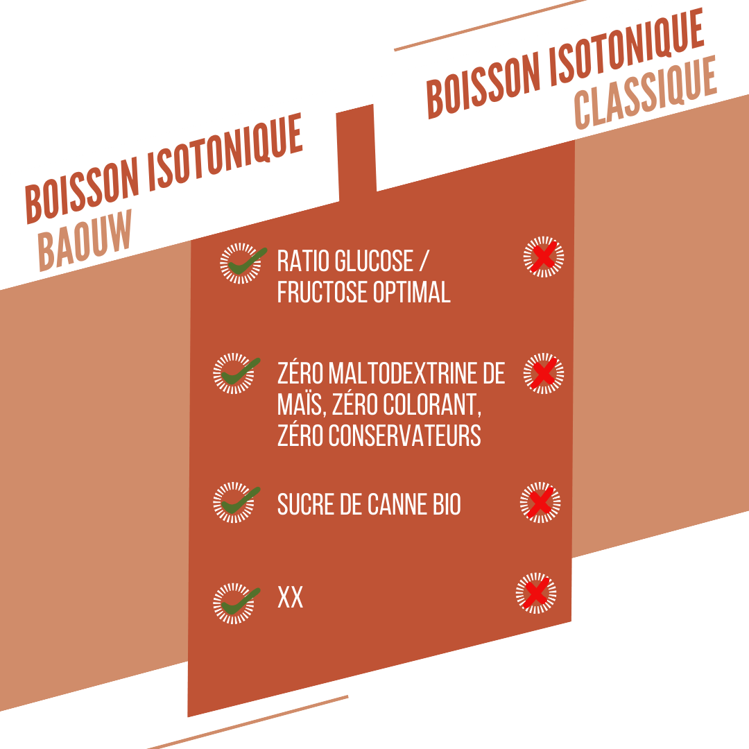 BAOUW ISOTONIC Bebida energética (585g) Pêssego Alecrim