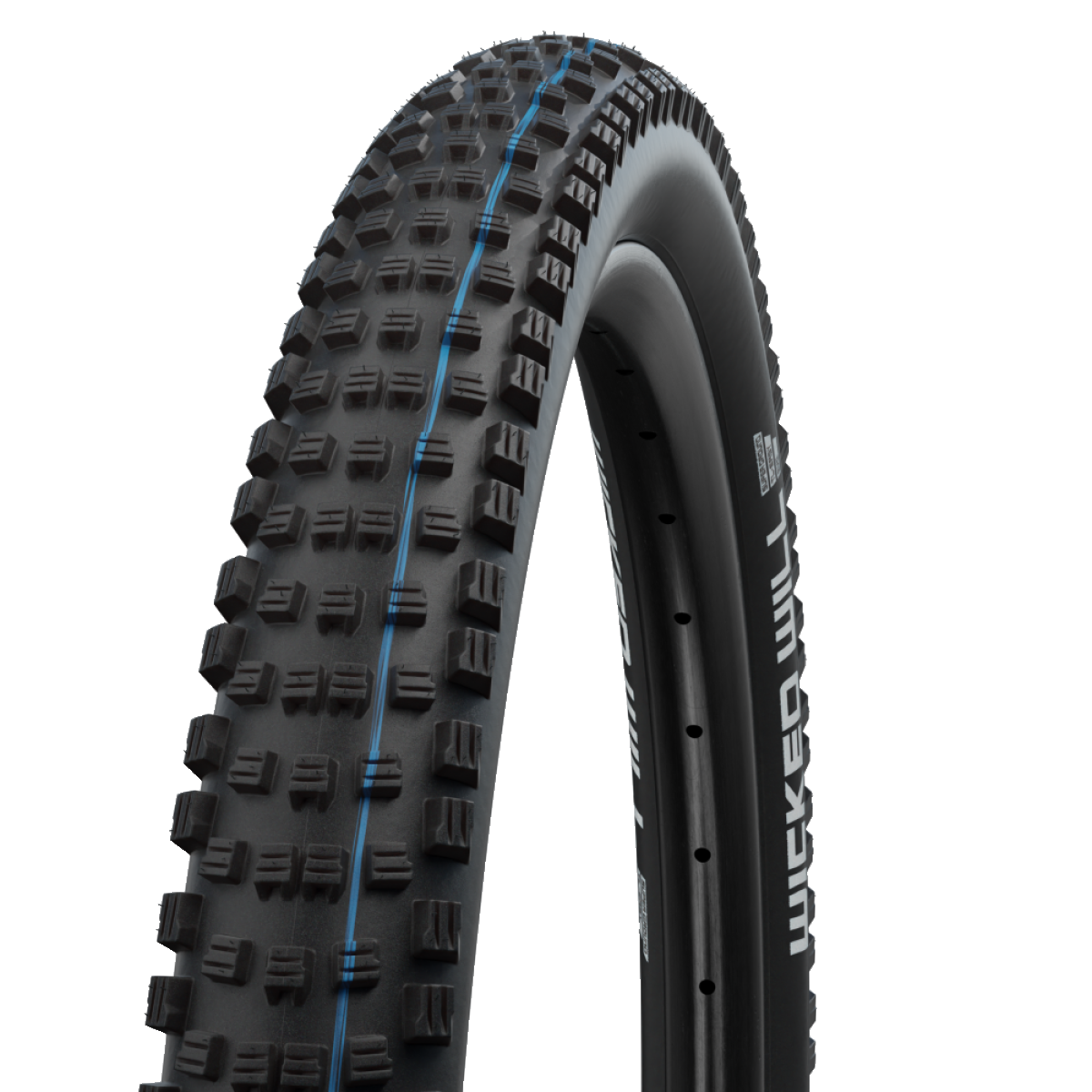 SCHWALBE WICKED WILL 29x2.60 ADDIX SPEEDGRIP SUPERGROUND Pneu preto macio pronto para tubeless