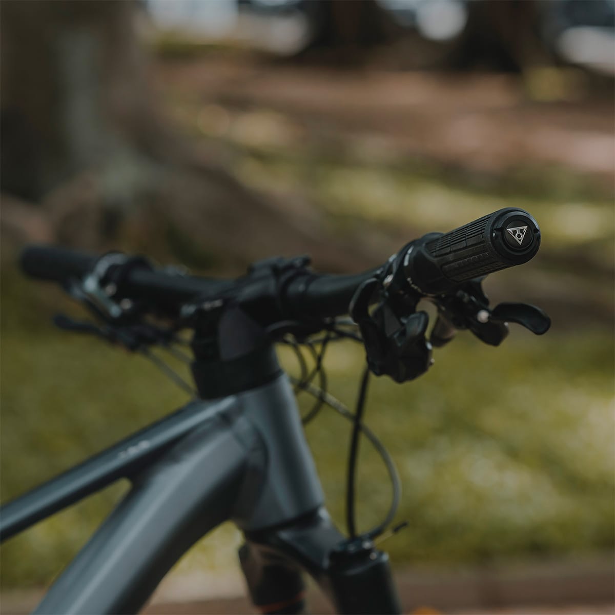 Multi-ferramentas TOPEAK PLUG'N TOOL MOUNTAIN