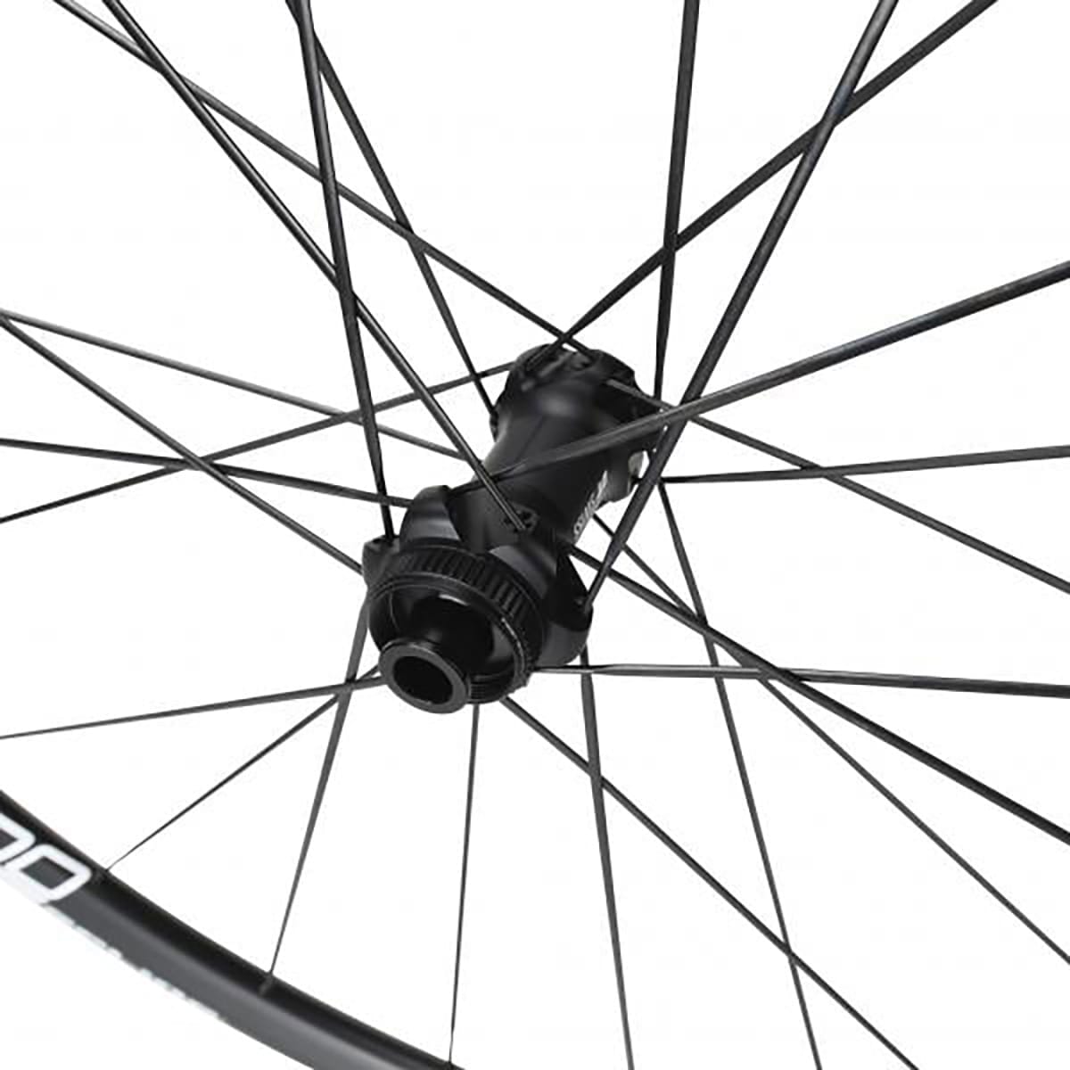 DT SWISS E 1800 SPLINE 23 DISC Roda traseira com pneus (Center Lock)