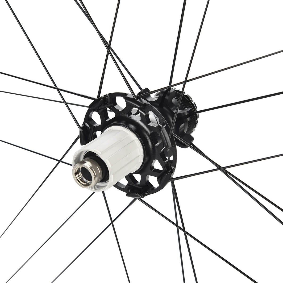 Par de Rodas CAMPAGNOLO ZONDA DISC Edição Limitada com Pneus (Center Lock)