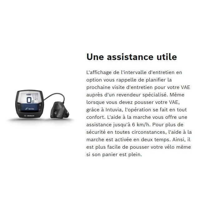 Ecrã BOSCH INTUVIA Cinzento