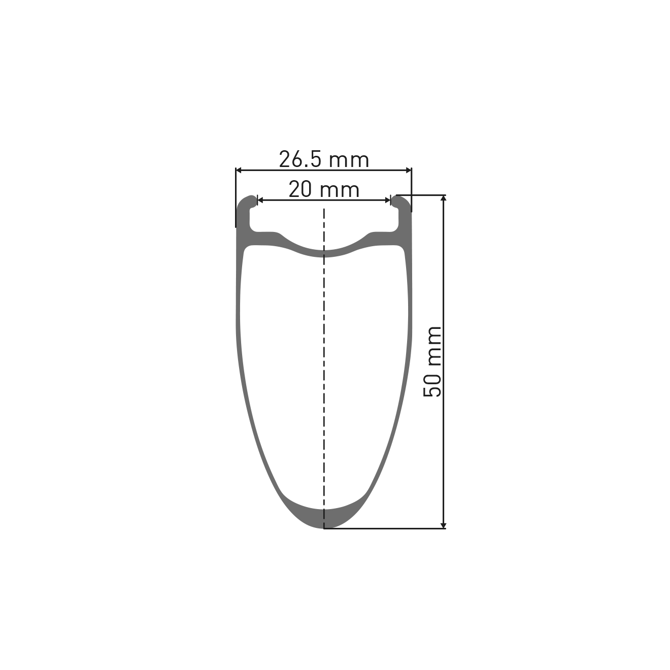 DT SWISS ARC 1100 DICUT WTS SPO 50 DISC Roda traseira tubeless Ready (bloqueio central)