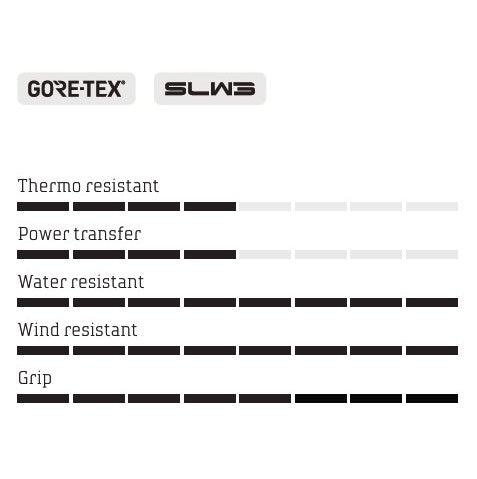 NORTHWAVE CELSIUS XT GTX WINTER Sapatos de BTT Preto/Cinza