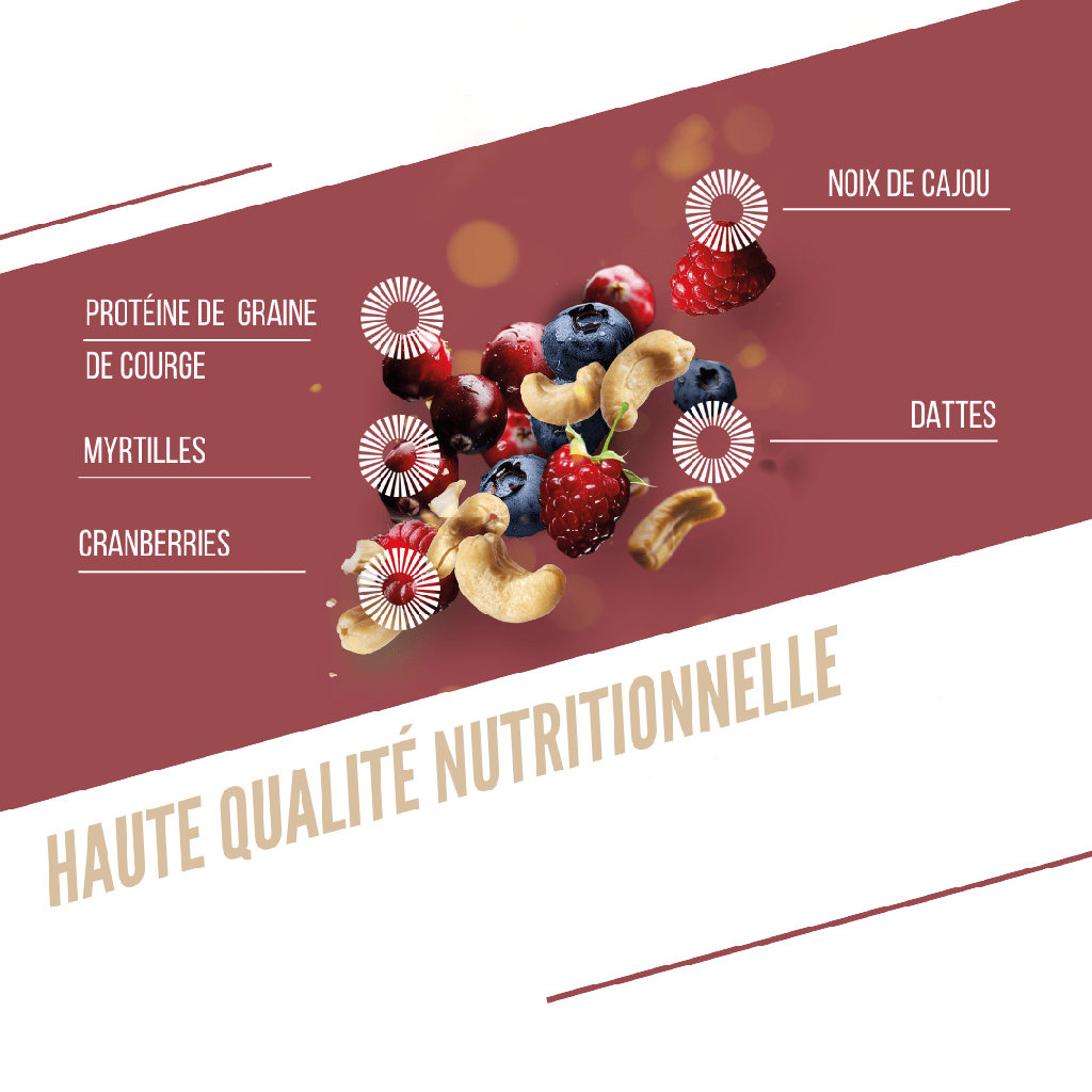 BAOUW ORGANIC EXTRA Barra de Proteína de Frutos Vermelhos/Caju (50g)