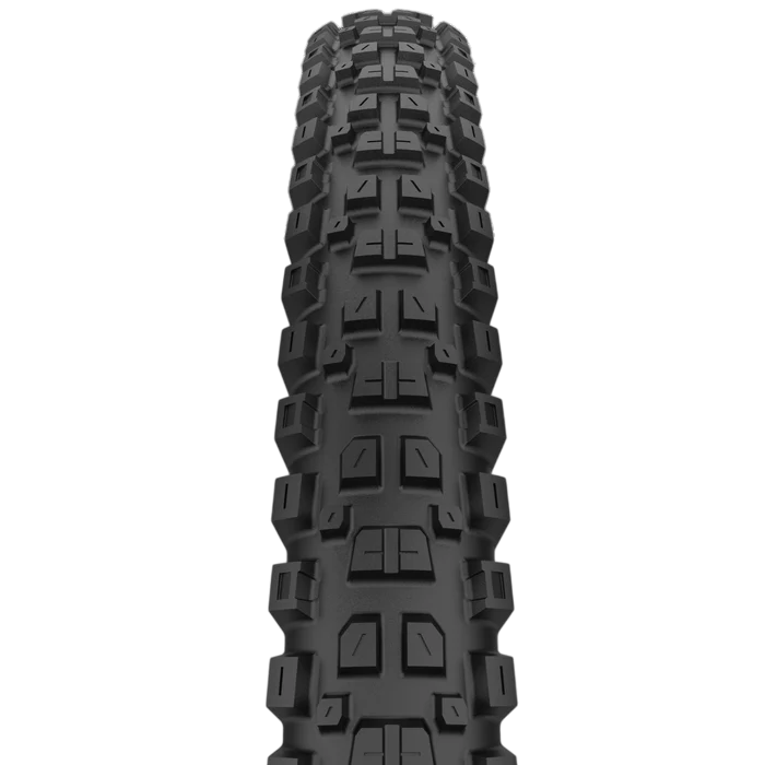 Pneu CAST PROTAGONIST 29x2.40 DualWall Smart Evo DH Tubeless Ready