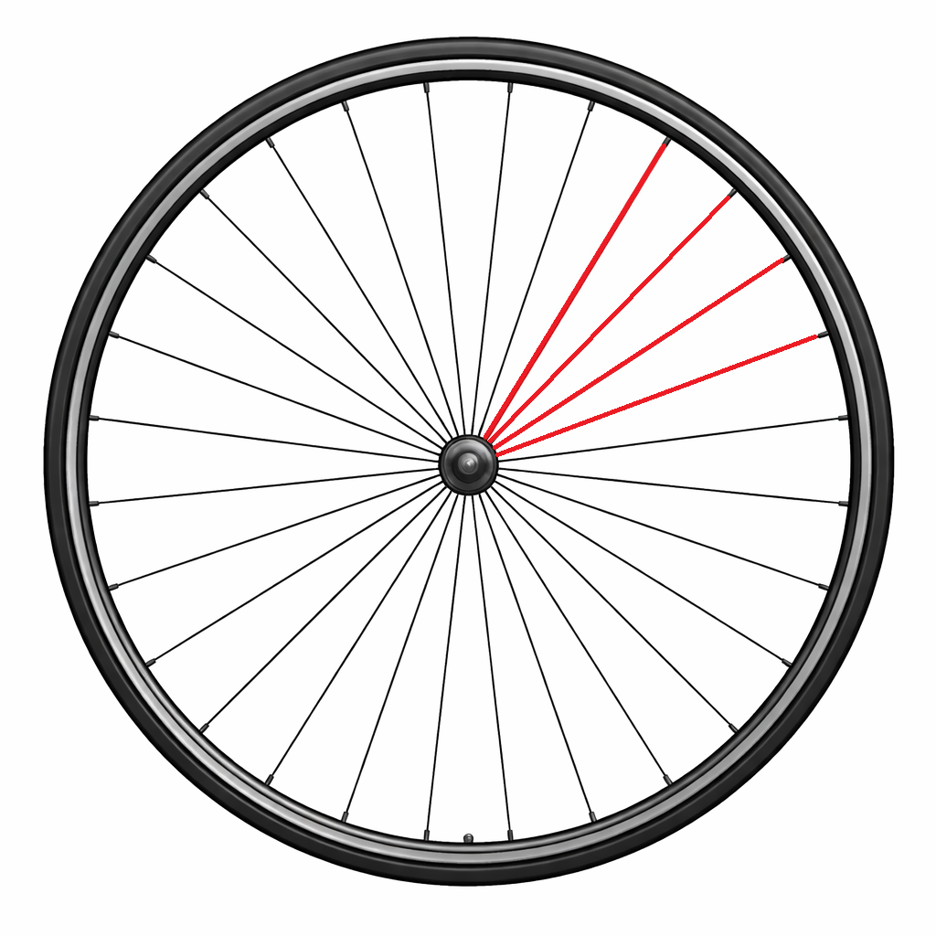 CAMPAGNOLO FULL SPOKE TRASEIRO ZONDA ESQUERDO (4 UNID.)