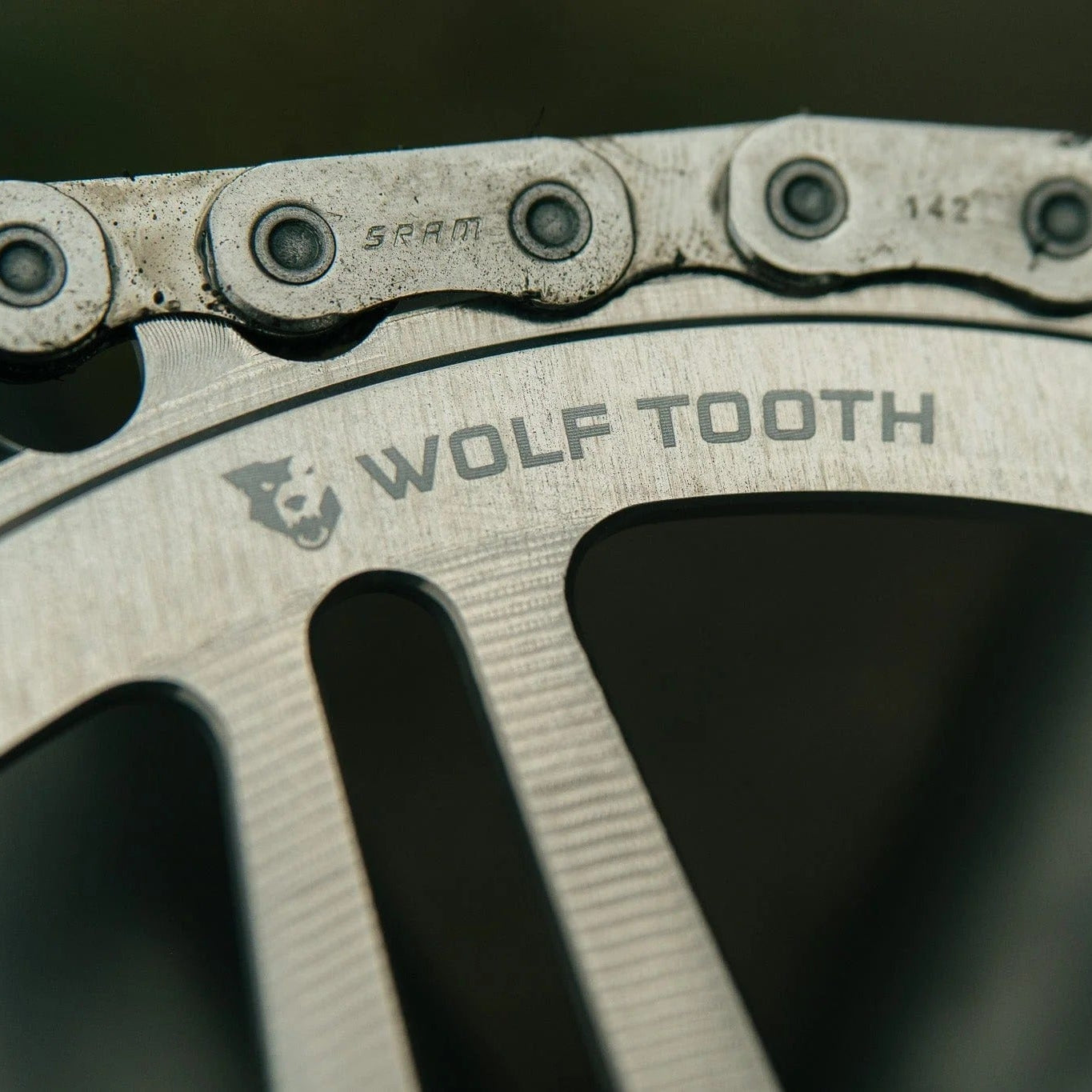 WOLF TOOTH Montagem Direta SRAM 8 Furos Prata Bruta Mono