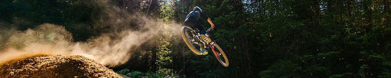 Saída de stock | BTT