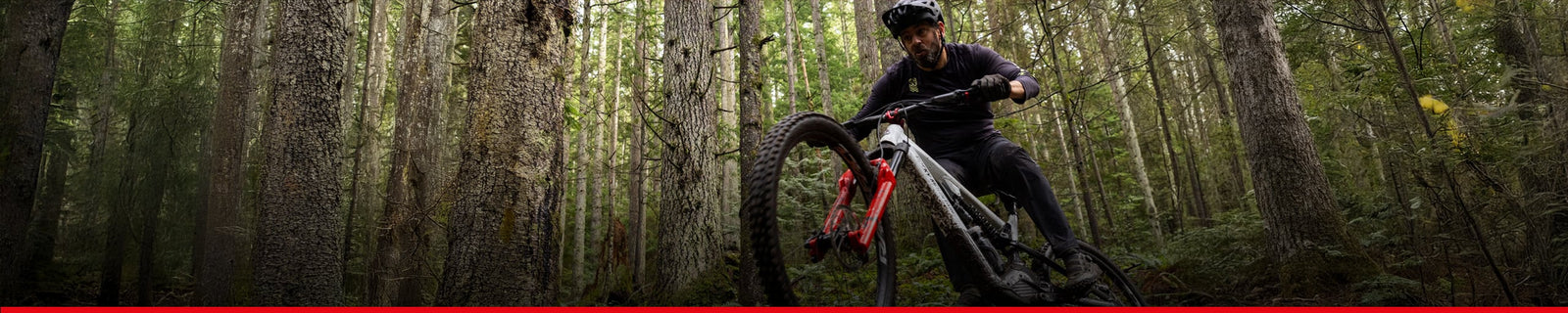 Marca | MARZOCCHI