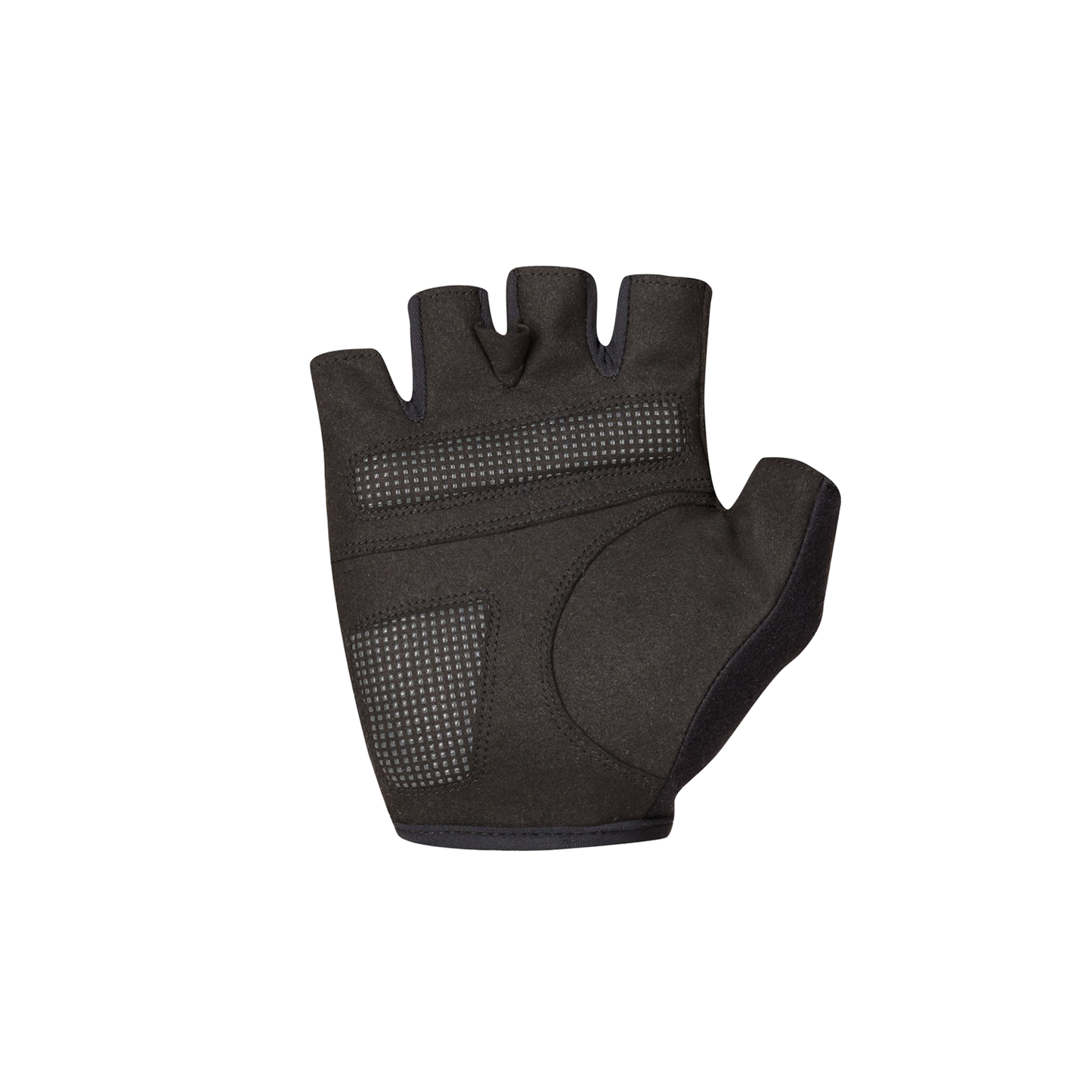 Luvas curtas SPORTFUL CLASSIC Verde