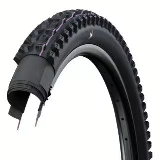 Pneu SCHWALBE TACKY CHAN GRAVITY PRO ULTRA SOFT RADIAL 29x2.50 Tubeless Ready Soft Preto