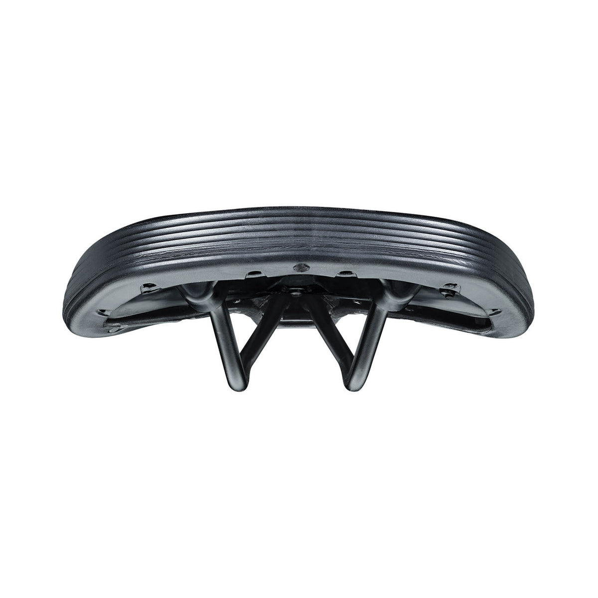 Selim GT-1 L2 - vista traseira