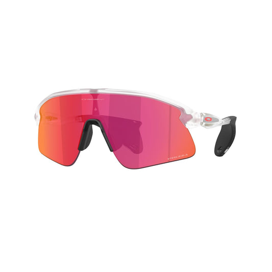 Óculos de proteção de campo OAKLEY STUNT DEVIL Clear Matt Prizm
