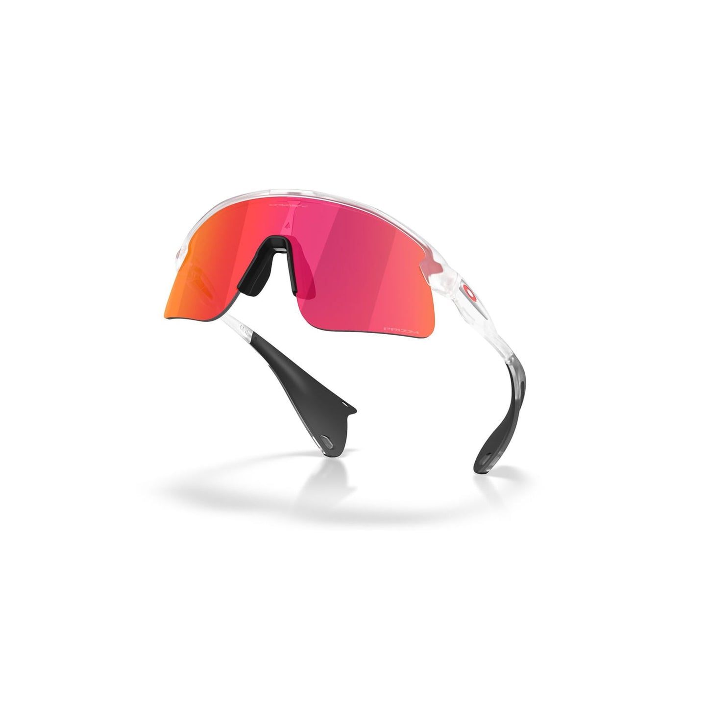 Óculos de proteção de campo OAKLEY STUNT DEVIL S Clear Matt Prizm
