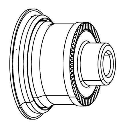 Embout de Eixo de Roda Traseira ZIPP Cognition Disc Brake Campagnolo #11.2018.048.020