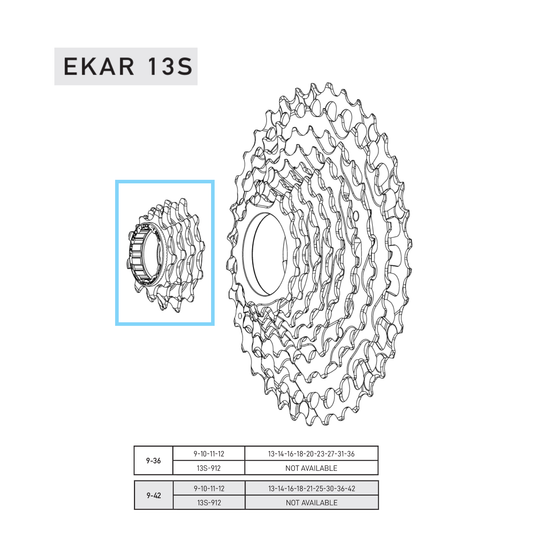 CAMPAGNOLO EKAR 9-10-11-12 rodas dentadas Dentes para cassete 9-36 ou 9-42