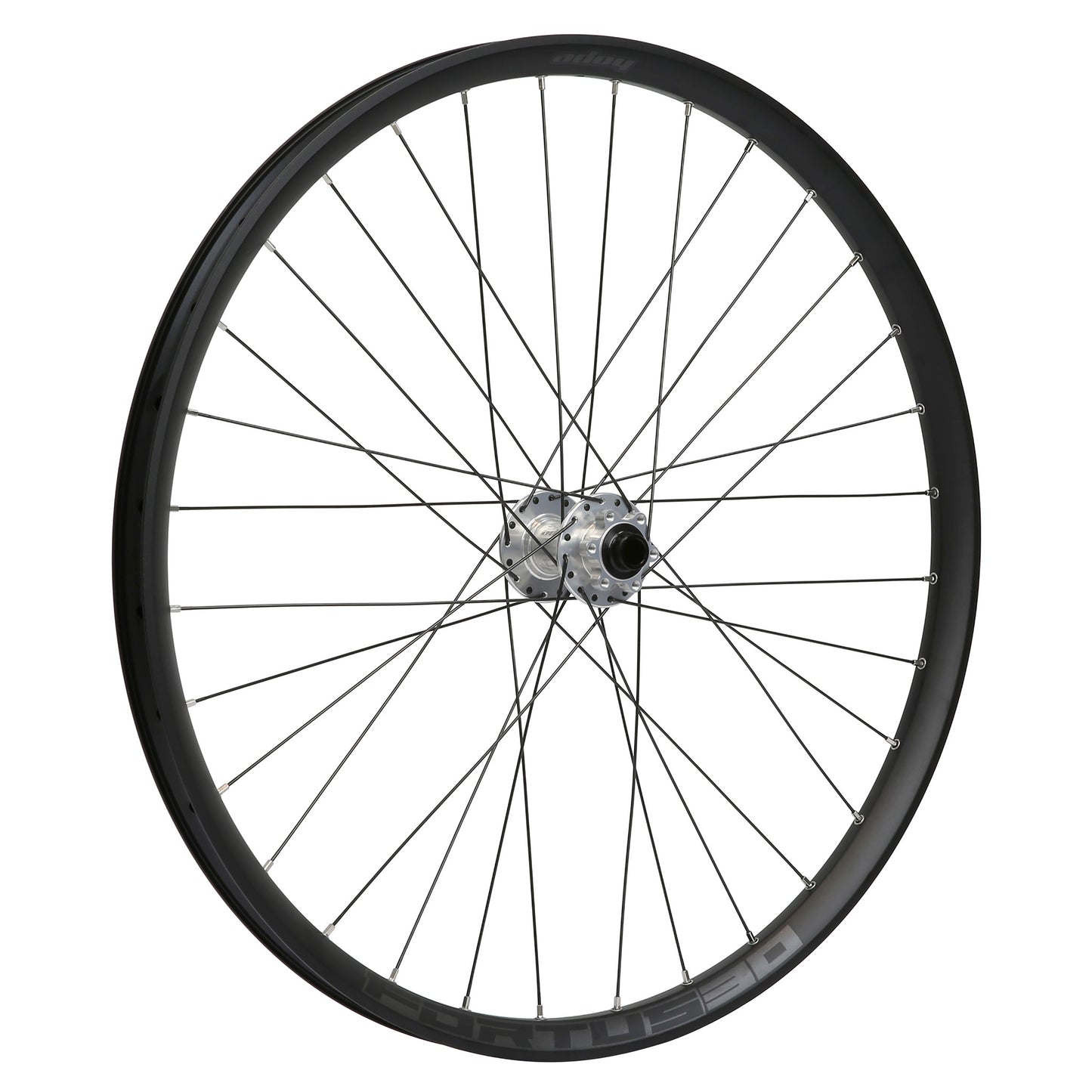 Roda dianteira HOPE FORTUS 30 W 29" PRO 5 15x110 mm Boost Prata