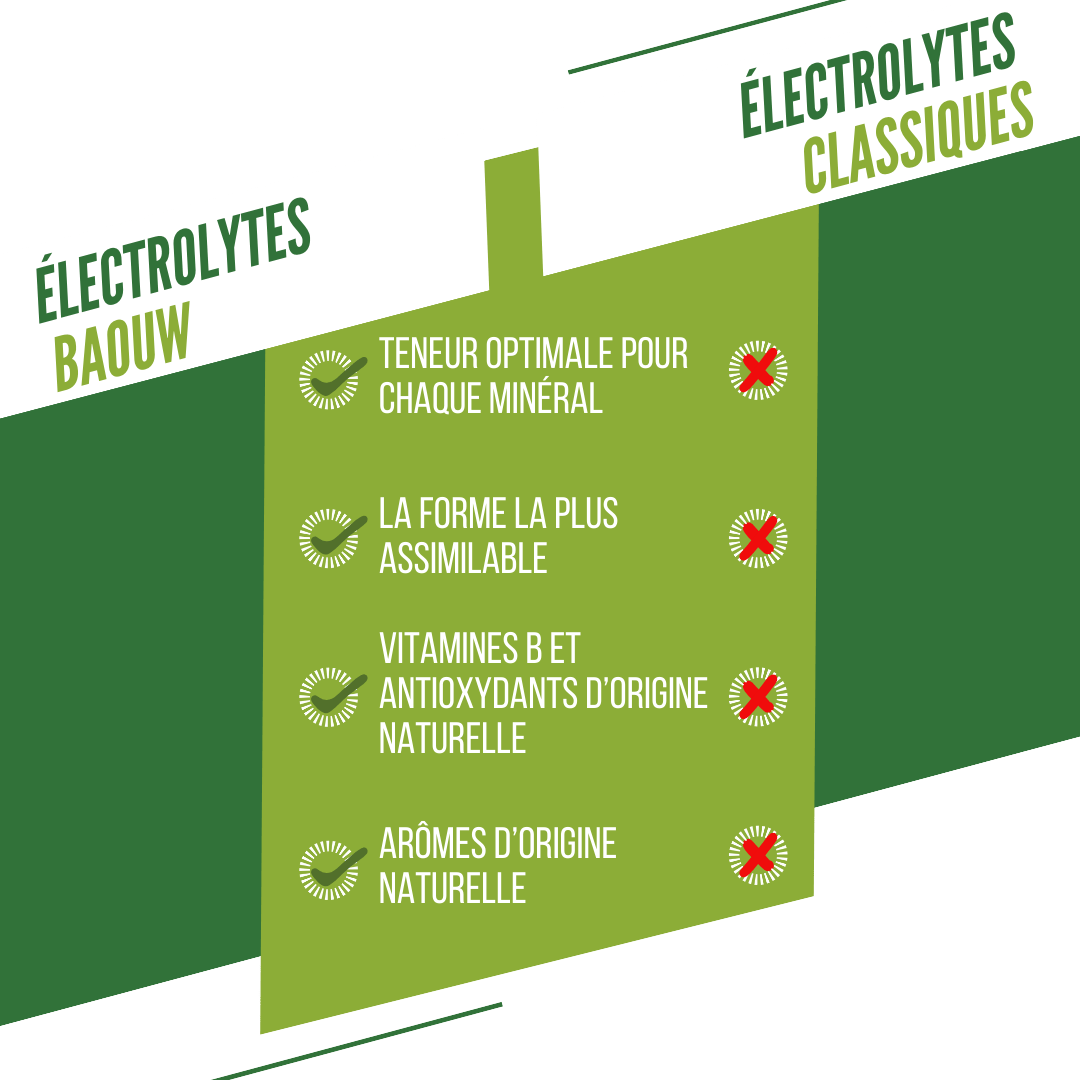 BAOUW Energy Drink (Tubo de 10 comprimidos) Lima/Menta