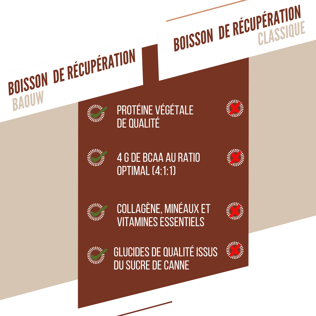 BAOUW RECOVERY Drink (500g) Chocolate Avelã
