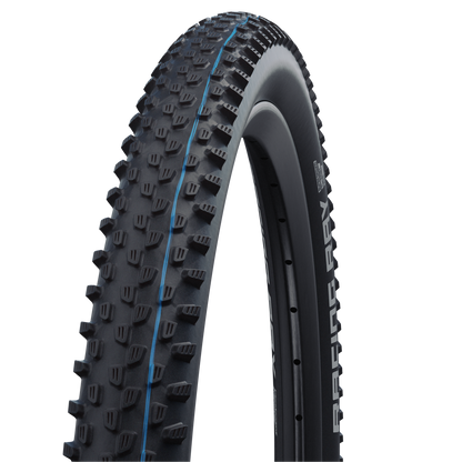 Pneu SCHWALBE RACING RAY 29x2.10 ADDIX SPEEDGRIP SUPERGROUND Tubeless Ready Dobrável Preto