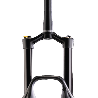 Garfo FORMULA SELVA S 29" Eixo 15x110mm Boost Preto