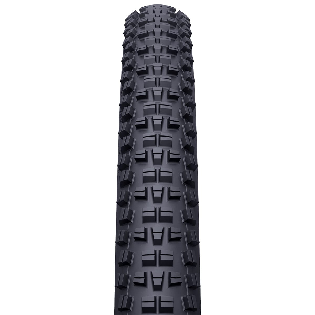 Pneu WTB TRAIL BOSS 29x2,25 TCS Light Tubeless Ready Souple W010-0886