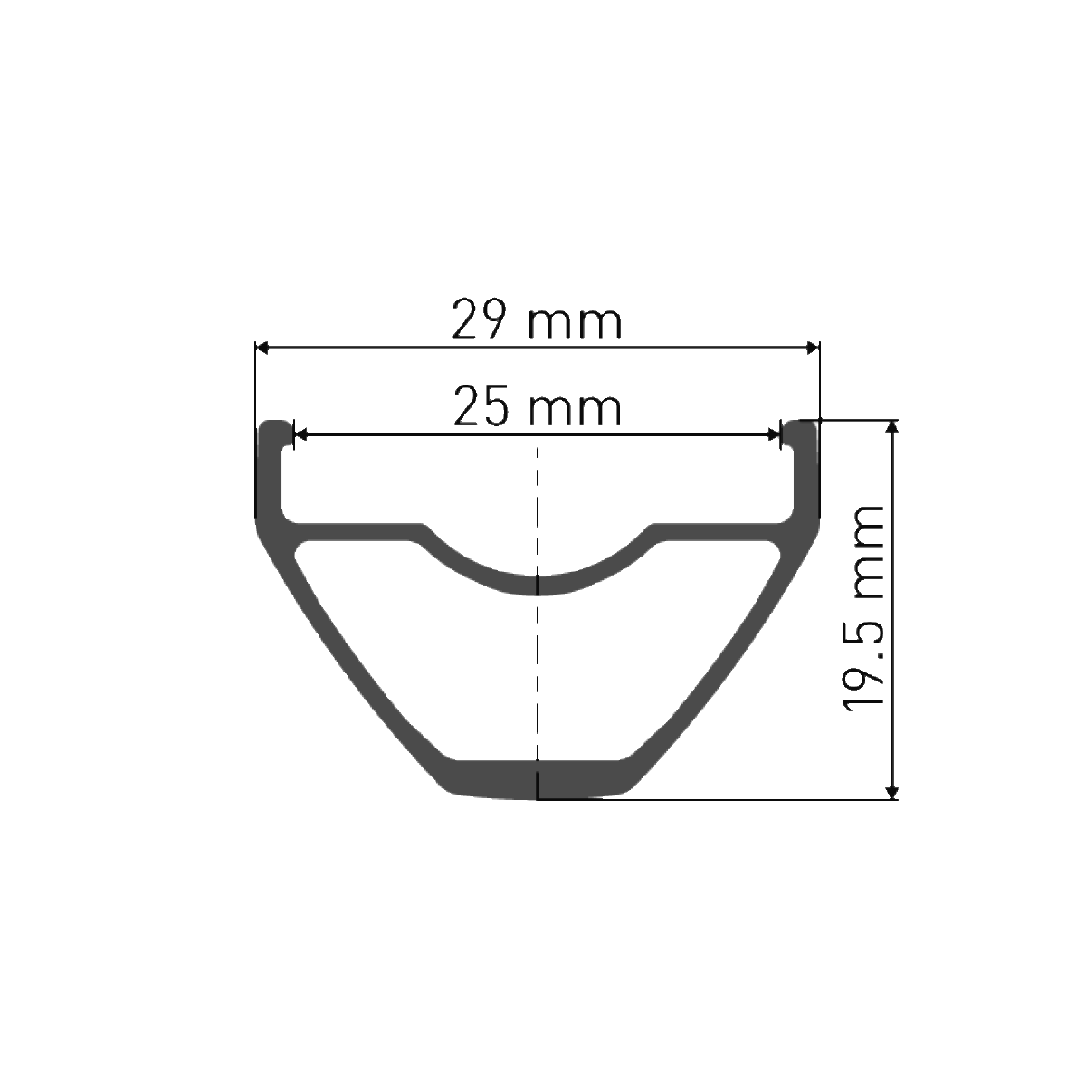 Roda dianteira DT SWISS X 1900 SPLINE 25 mm 29" 15x100 mm