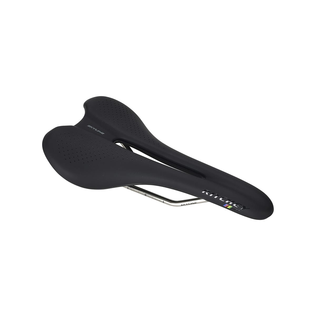 Selle RITCHEY WCS SKYLINE V2 Rails Acier Noir