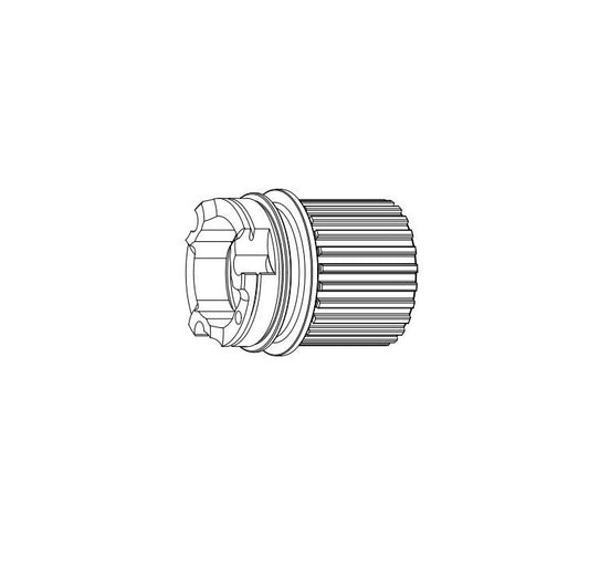 CAMPAGNOLO Roda livre Tipo de corpo SHIMANO Microspline 12V