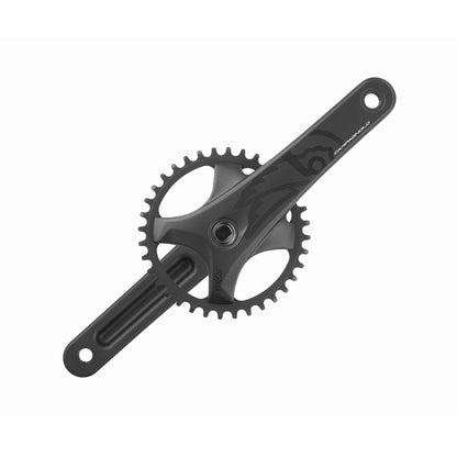 Pedaleiro 13V CAMPAGNOLO EKAR GT