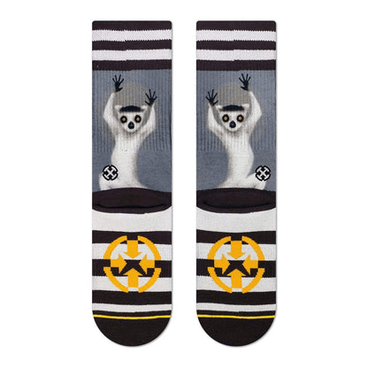 Meias MERGE4 RING TAIL LEMUR