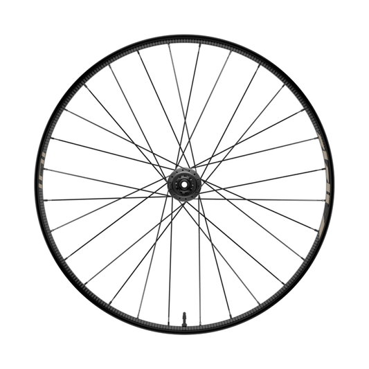 ZIPP 101 XPLR DISC TUBELESS 700c (Center Lock) roda traseira, versão Kwiqsand