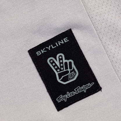 Maillot TROY LEE DESIGNS SKYLINE RIDE TEE SIGNATURE Mangas Compridas Cinzento