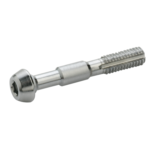 Conjunto de 2 parafusos ELVEDES M6 para Shimano Banjo