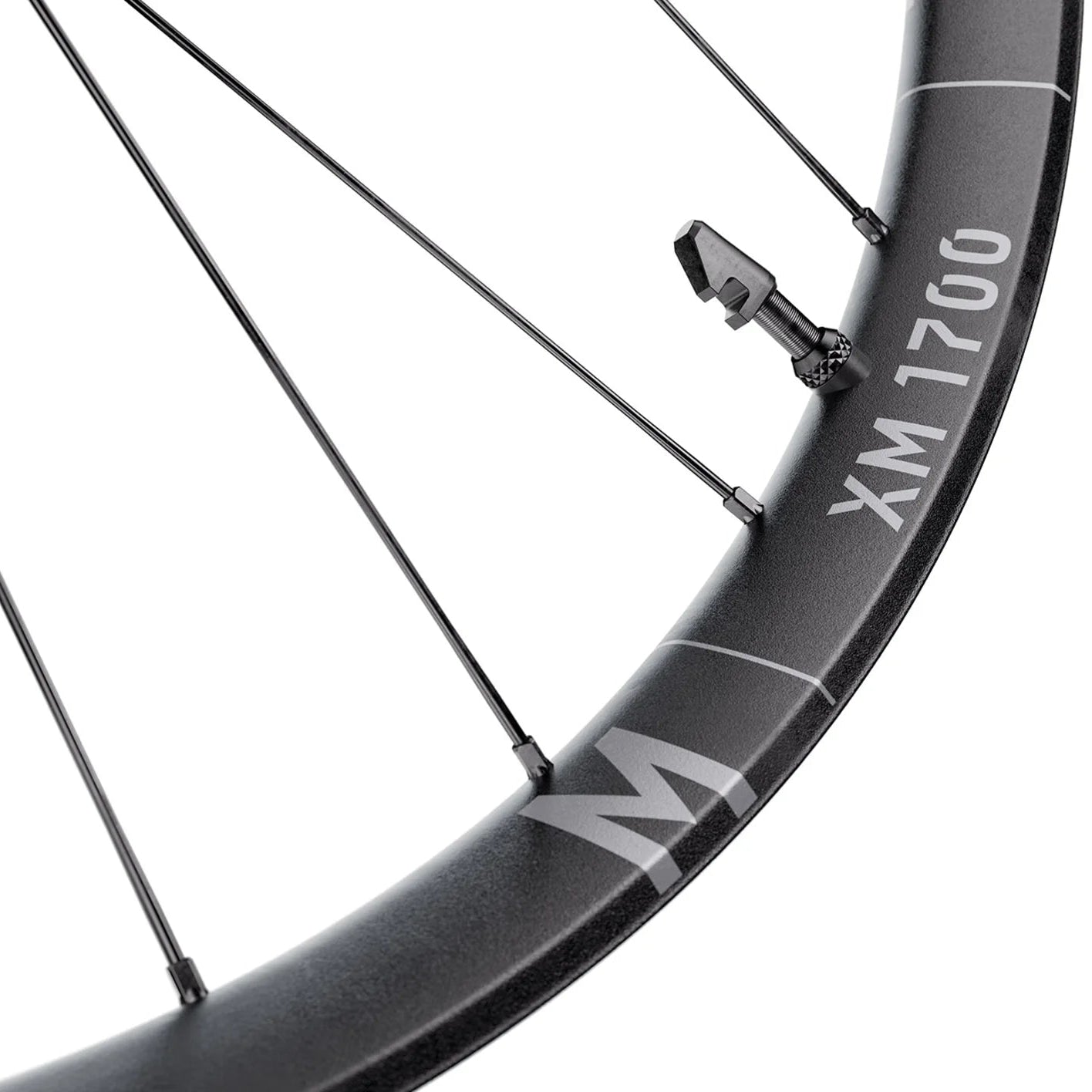 Roda dianteira DT SWISS XM 1700 SPLINE 30 mm 29" 15x110 mm Boost 2026