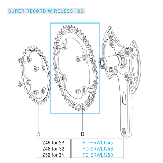 Tabuleiro para exterior 12V CAMPAGNOLO SUPER RECORD WRL