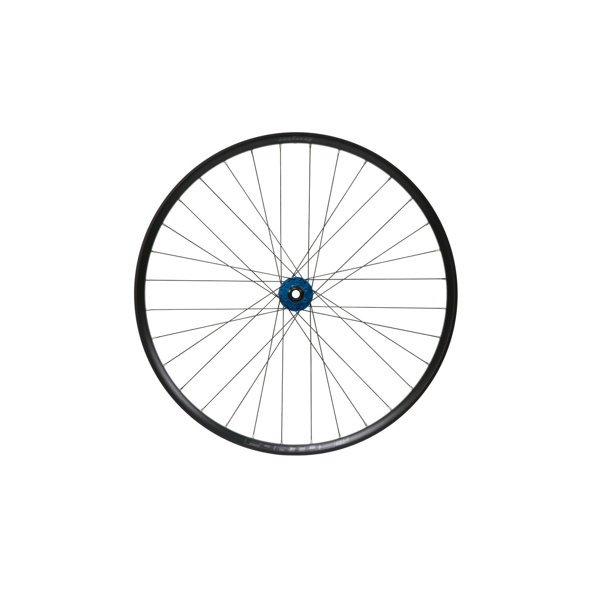 Roda dianteira HOPE Fortus 30 W SC de 29 polegadas, cubo Pro 5 azul