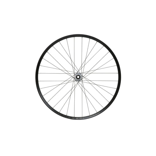 Roda dianteira HOPE Fortus 35 W de 29 polegadas, cubo Pro 5 prateado