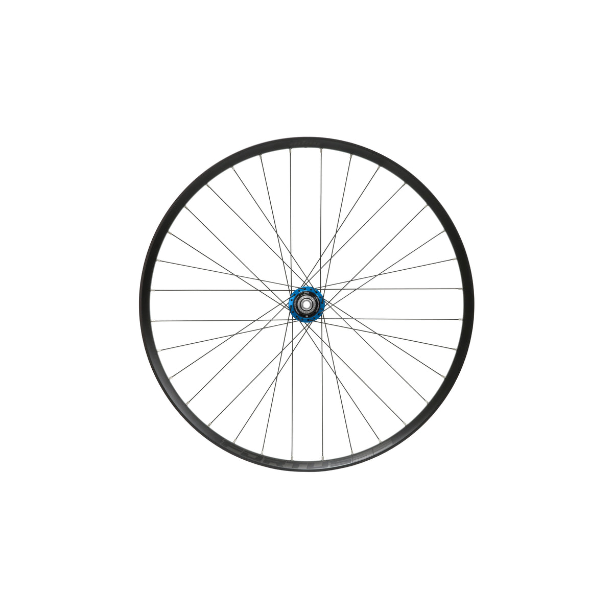 Roda traseira HOPE Fortus 35 W de 29 polegadas, cubo Pro 5 azul
