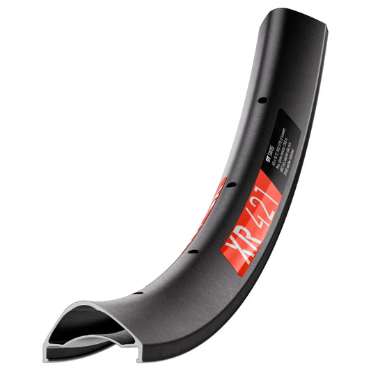 Aro DT SWISS XR 421 29" 30 mm