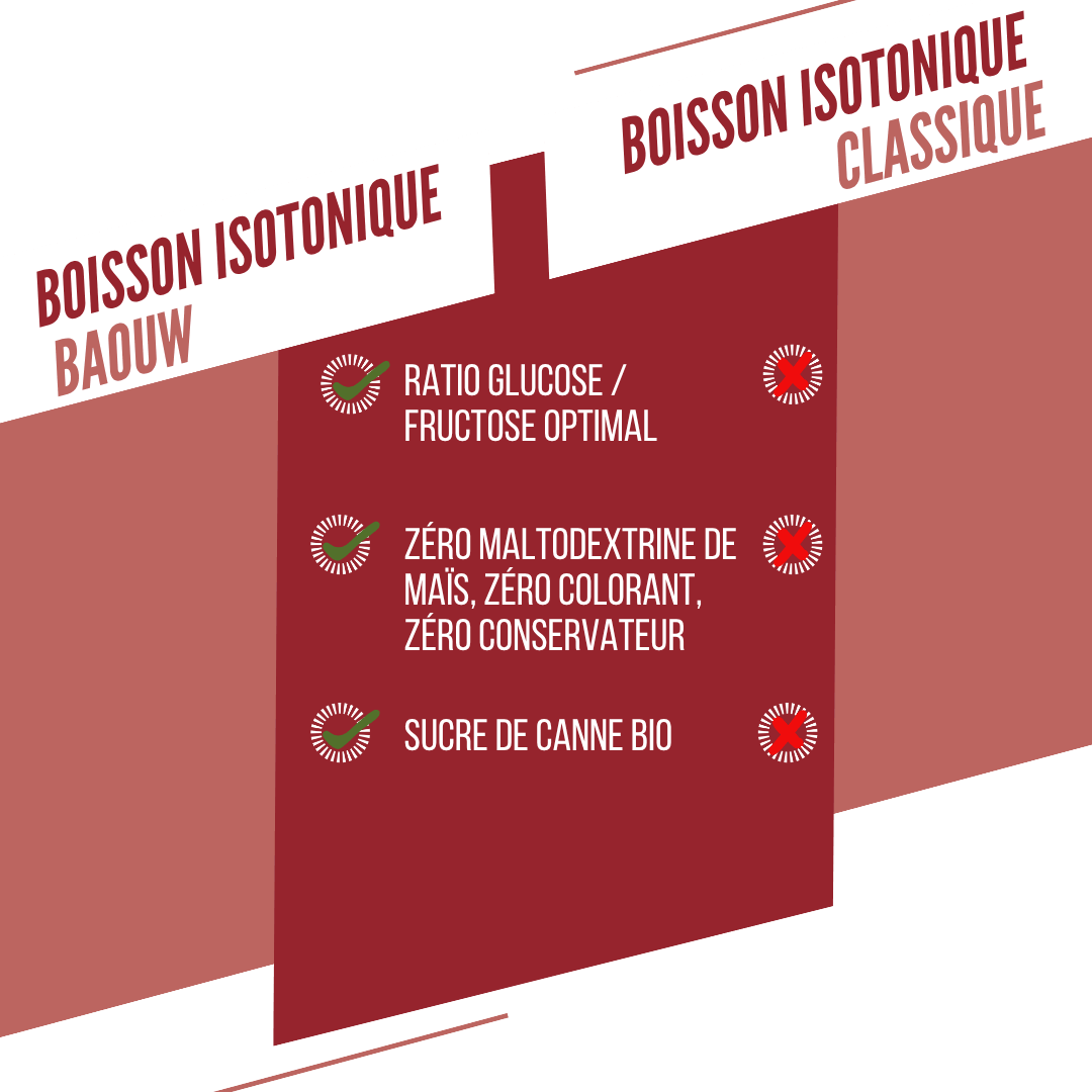BAOUW ISOTONIC Bebida energética (45g) Melancia/ Romã