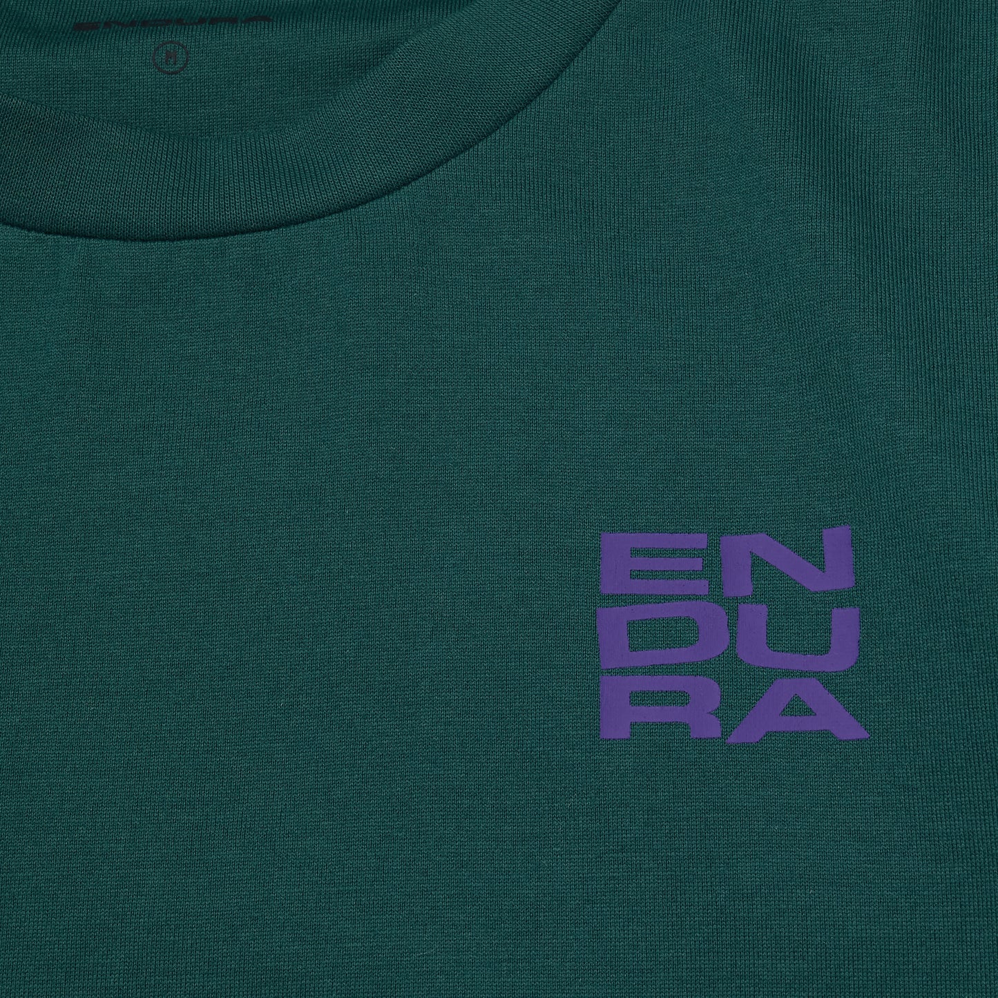 Camisola ENDURA STACKED LOGO GRAPHIC Teal