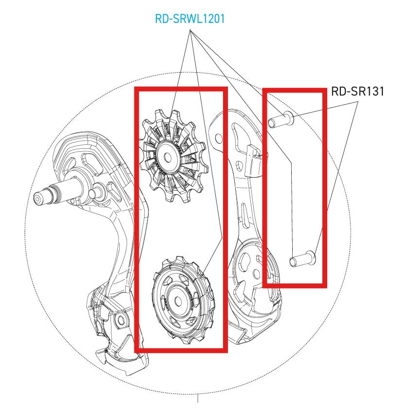 CAMPAGNOLO SUPER-RECORD 12V WRL DISC Desviador Traseiro Rodas