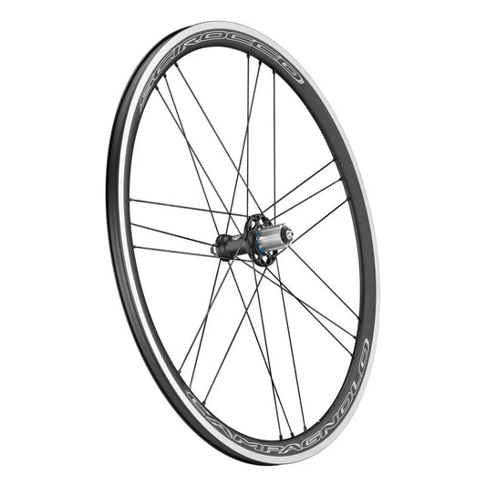 Roda traseira CAMPAGNOLO SCIROCCO 35 C17 com pneus