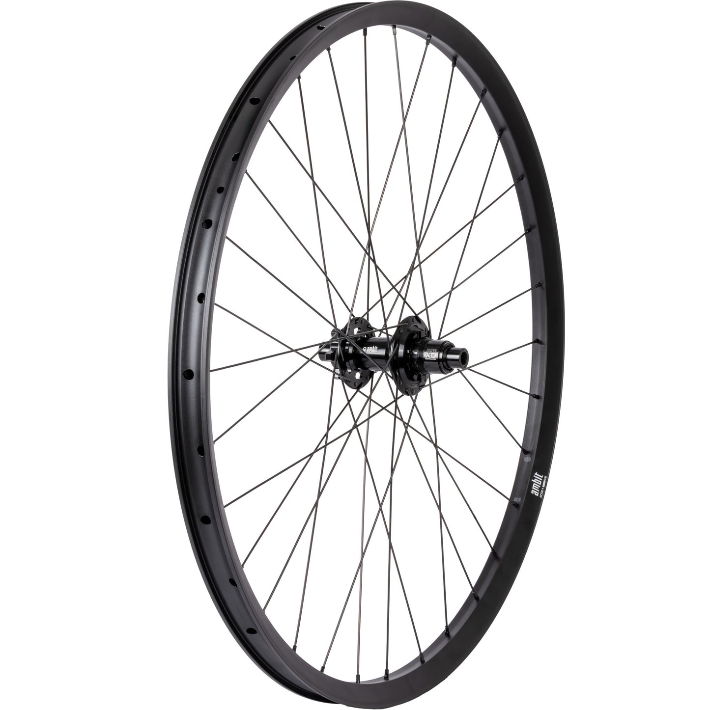 Roda traseira AMBIT REALM 29" 12x148mm Boost POE 102