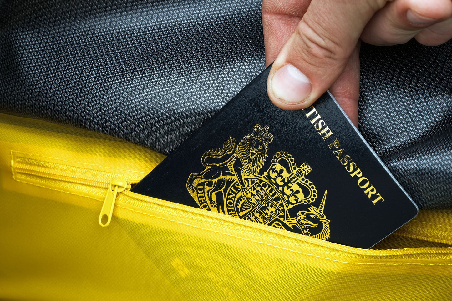 APIDURA EXPEDITION FRONT RACK PACK 20 L Bolsa para guiador Preto