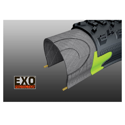 Pneu MAXXIS RAMBLER 700x50c Exo Tubeless Ready Tanwall